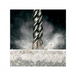 FORET SDS-MAX EXTREME 4...