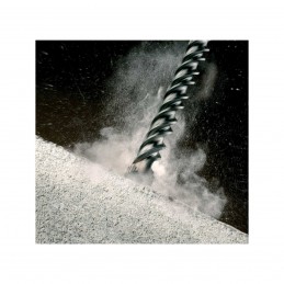 FORET SDS-MAX EXTREME 2...